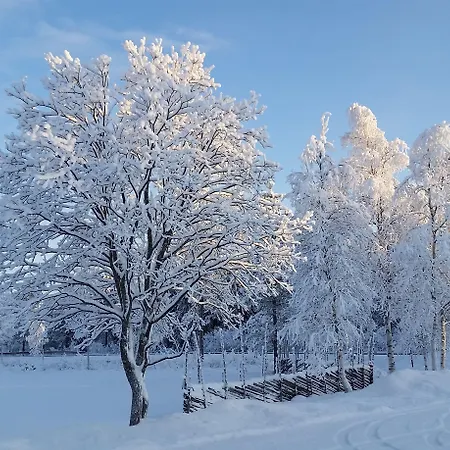 Saeterasen & Kemping Trysil