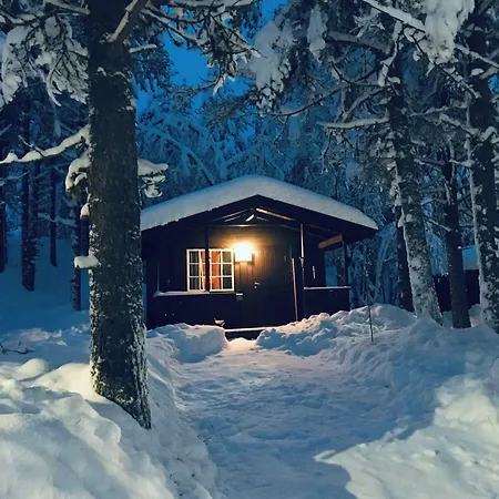Saeterasen & Trysil