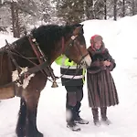Camping Saeterasen & Trysil